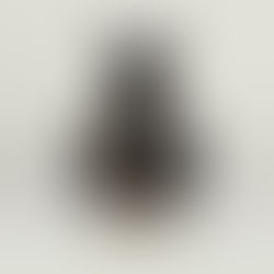 拍賣筆記 vol.324 蘇富比紐約2026：北宋/金磁州窰黑釉鐵鏽花卷口瓶 - Sotheby’s NY 2026, A 'Cizhou' Russet-Painted Black-Glazed 'Floral' Vase, Northern Song / Jin Dynasty