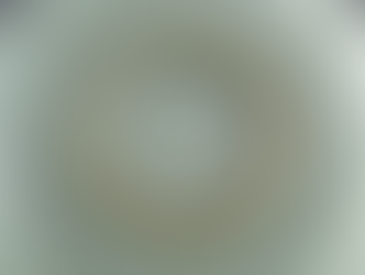 宋代筆記 vol.25 上海博物館:北宋定窯葵口洗,「官」字款,薛貴笙捐贈 - Shanghai Museum, Ding Ware Lobed Dish, Incised 'Official' Mark, Donated by Xue Guisheng