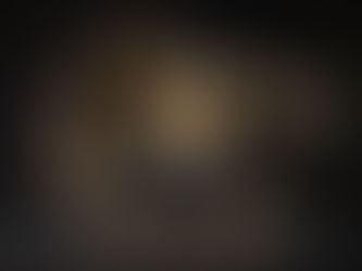 拍賣筆記 vol.326 蘇富比紐約2026：810萬港元售出，普利茲克藏唐三彩黑釉飲水馬 - Sotheby’s NY 2026, A Black Bowing Horse, Tang Dynasty, Pritzker Collection, Sold for US$1.0368m