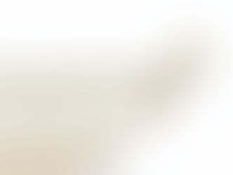 藏家筆記 vol.05 東方陶瓷學會:克拉克伉儷收藏(2025賀歲版) - Collectors: OCS, the Alfred & Ivy Clark Collection