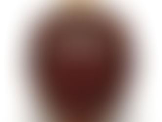 茶入筆記 vol.21 德川家康:唐物文琳茶入 銘「酸漿」- Tokugawa Ieyasu, Karamono Bunrin 'Hozuki'