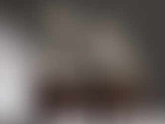 賞石筆記 vol.3 供石中的道家美學 - The Taoist Aesthetic in Scholar’s Rocks