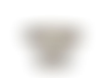 拍賣筆記 vol.26 盧芹齋銀鎏金摩羯紋多曲長杯十五倍估價63000歐元成交 - A Rare Parcel-Gilt Silver 'Makara' Lobed Footed Dish China, Tang Dynasty (618-907)