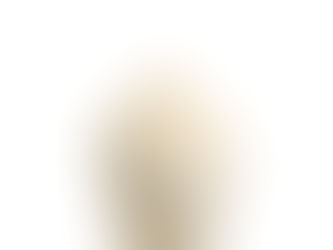 拍賣筆記 vol.410 蘇富比紐約2026：北宋鉅鹿縣磁州窯白釉梅瓶 - Sotheby’s 2026, Okada Sales Part 2, A Julu Type Cizhou White-Glazed Vase, Meiping, Northern Song Dynasty