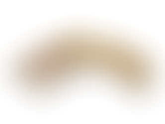 拍賣筆記 Vol.61 藍理捷:東周戰國龍首玉飾(流拍) - An Ex-Lally: Warring States Period Jade Dragon-Head Pendant