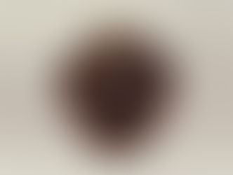 唐物茶壺 vol.02 德川美術館:唐物茶壺「橋姫」,大名物 - Tokugawa Art Museum, O-meibutsu Karamono Chatsubo ‘Hashihime’