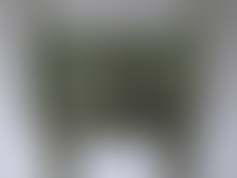 青铜笔记 vol.11 商代勺方鼎:安陽的氣息和審美,仇焱之、埃斯肯納齊經手 - Shang Dynasty Fang Ding, the Breath of Anyang, ex-Edward T.Chow & Eskenazi.