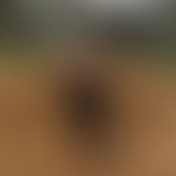 Empowering Youth Sports: A Guide for Parents and Players on Shame-Free Coaching