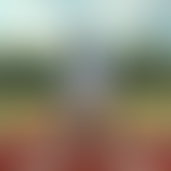 Choosing the Perfect Dugout for Your 12U Player: Prioritizing Skills and Comfort