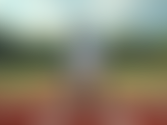 Choosing the Perfect Dugout for Your 12U Player: Prioritizing Skills and Comfort