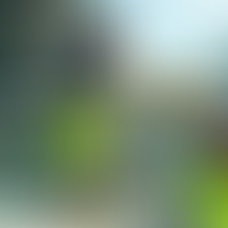 acceder a cubierta de forma segura