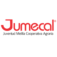 Proyecto Jumecal: Implementación de Sistema de Gestión Integrado ERP por Gecos