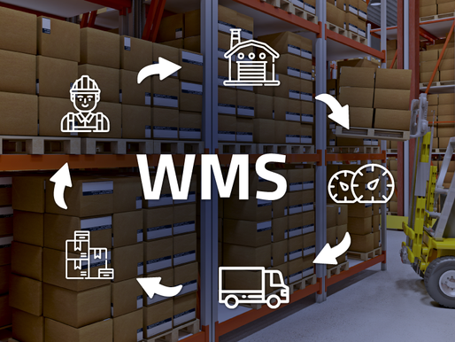 WMS: Implementación de sistema de Gestión de Depósitos 