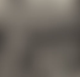 The Second, Third, and Fourth Plague : Frogs, Lice, and Flies