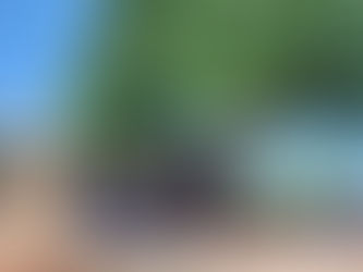 Un apostolato imprevisto tra i pagani