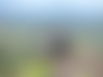 Prime Giornate della Gioventù nella missione di Kangeme