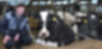 Landwirt kniet neben einer schwarzbunten Kuh auf einem modernen Stall, beide schauen freundlich in die Kamera.