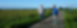 MA_Foto_edited.png