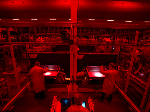 MycoWorks After the Exit: Co-Founder Philip Ross Reflects on 35 Years of Growing the Fungal Future