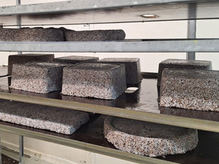 Mycelia Academy: Empowering the Future of Biofabrication and Mycelium Materials