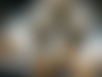 Living Building Materials: How Fungi and Bacteria Create Self-Healing Architecture