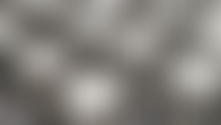 Researchers Develop Biodegradable Fungal Coating to Replace Plastic in Packaging and Textiles