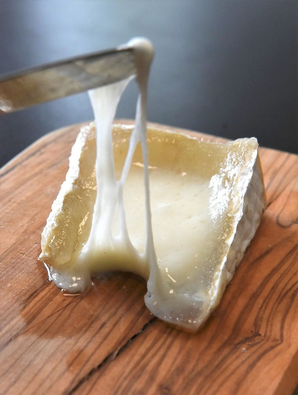 French Precision Fermentation Startup Nutropy Raises €7M to Develop Animal-Free Casein for Dairy Products