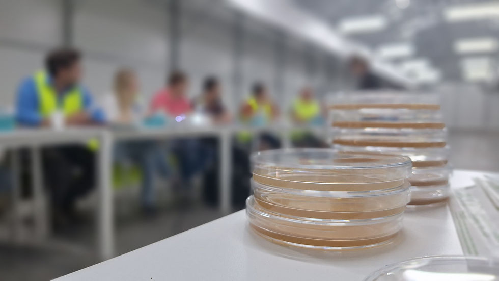 Stacks of petri dishes in focus on a lab table, with blurred people in bright vests seated in the background.