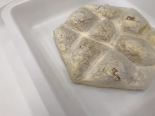 Bioinspired microstructural design by Dr. Hortense Le Ferrand