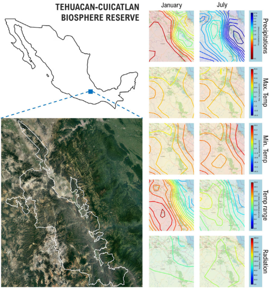      Geographical location and geo-climate characteristics of the Tehuacán-Cuicatlán Biosphere Reserve.            Image Credits:Wiley    