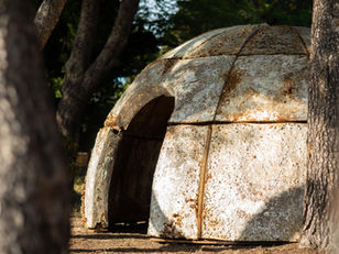 MycoTemple: a space for physical and spiritual transformation.