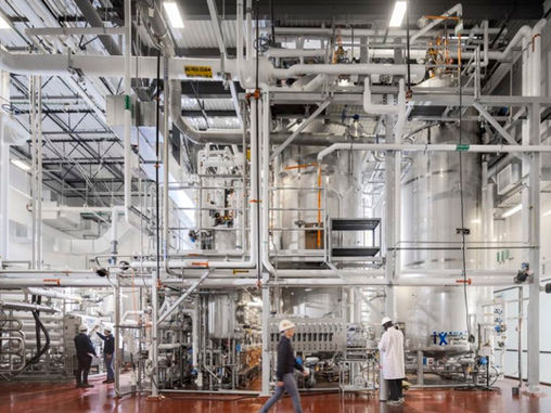 Mycelium-Based Meat Alternative Company Meati Targets 2025 for Series D Funding Round