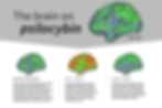Psilocybin Mushroom Case Report Documents Transient Functional Recovery in Advanced Alzheimer's Disease