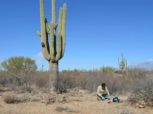 Desert Fungi: Mexico’s Tehuacán-Cuicatlán Reserve Reveals A Microbial Goldmine in Arid Lands