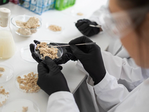 Mycoprotein Producer Mycorena’s Bankruptcy: Setback or Fresh Start?