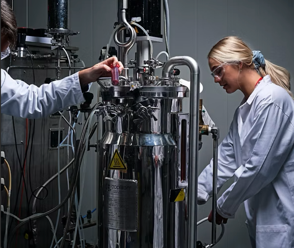 Credits: Chromologics