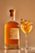 Mushrooms in Wine and Spirits: Trailblazers Exploring Fungal Flavours in Drinks