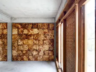 University of Bath: Turkey Tail Fungus Turns Construction Waste Into Low-Carbon Insulation