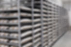 Ecovative Sells of EU Spawn and Substrate Business to Klerken Family, Founders of Scelta Mushrooms