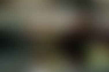 Waterworks is using six snails as an innovative way to monitor pollution from the incinerator. (Sain