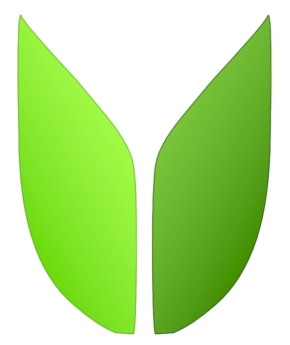 Photo du rédacteur: Vision Jardin