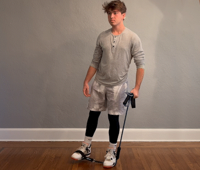 LEG_4.gif