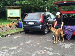 IMG_3951 - Copie.jpg