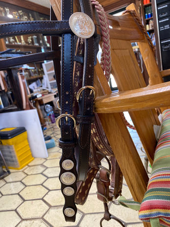 Bridle