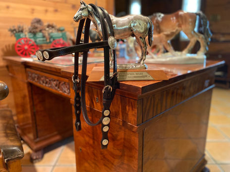 Bridle