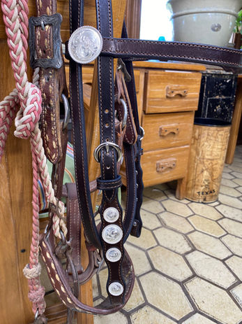 Bridle