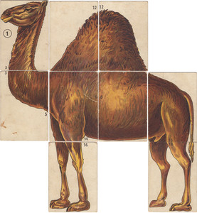 The camel made up from 9 cards.