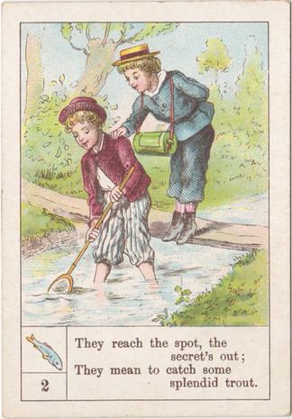 Fish Card 2