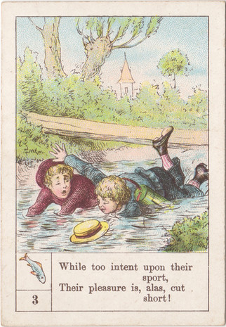 Fish Card 3
