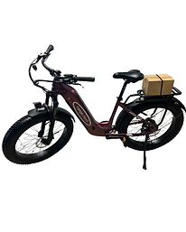 Range Road Ebike
Ebikes